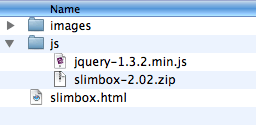 A screenshot of the js folder