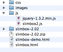 A screenshot of the js folder