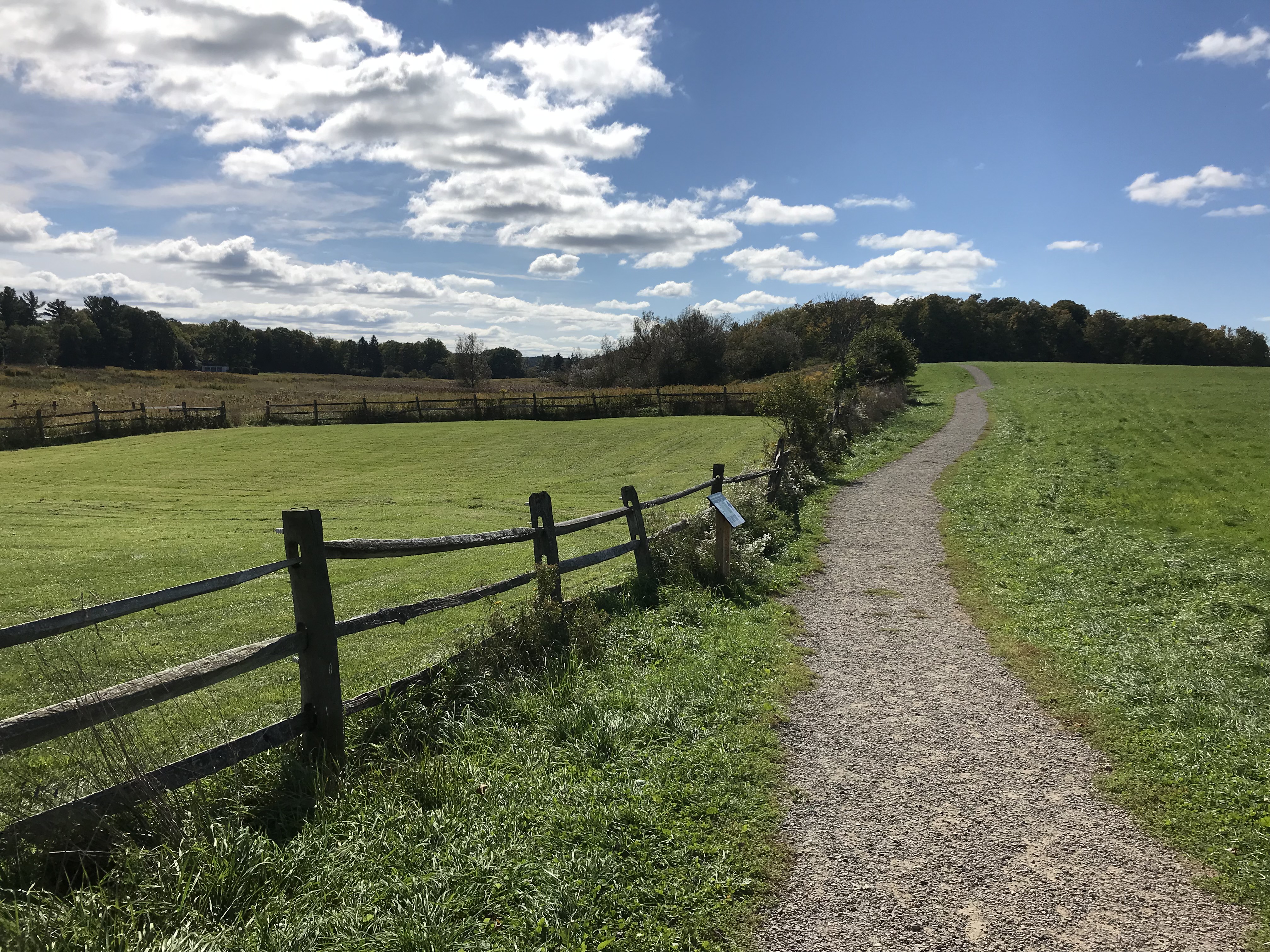 a field with a fence to left and a path forward to
    a big bundle of trees