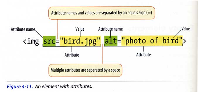 A graphic explaining html attributes