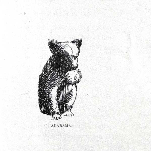 Drawing of a bear