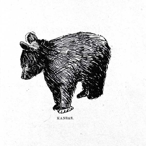 Drawing of a bear