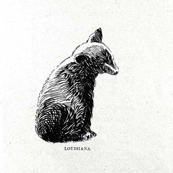 Drawing of a bear