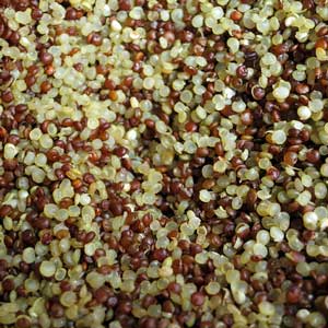 Photo of Quinoa