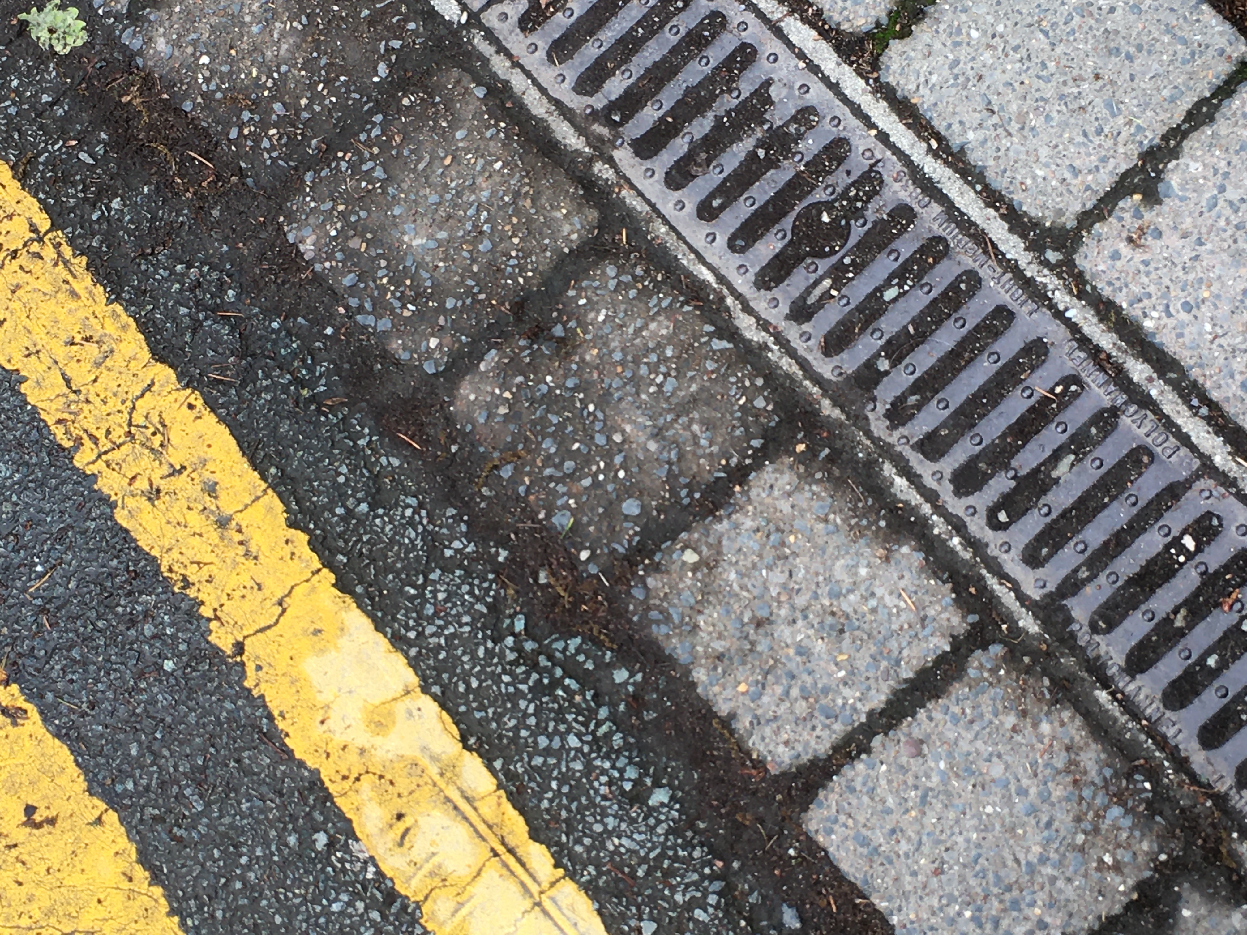 A top-down view of the side of a road with a double yellow line on the pavement and a grate on the gray stone of the sidewalk.