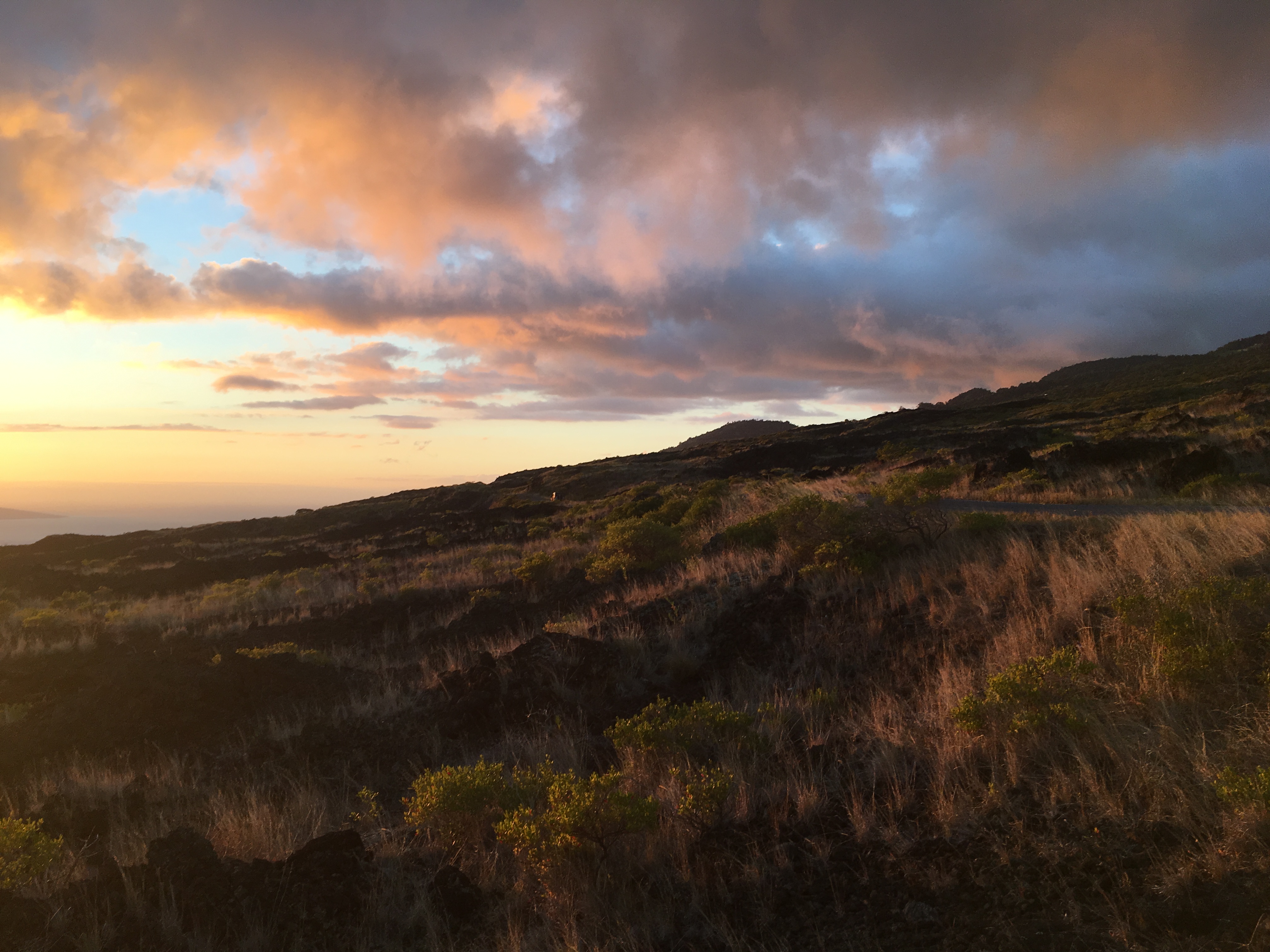 A sunset-lit grassy landscape with blue and pink clouds in the distance.