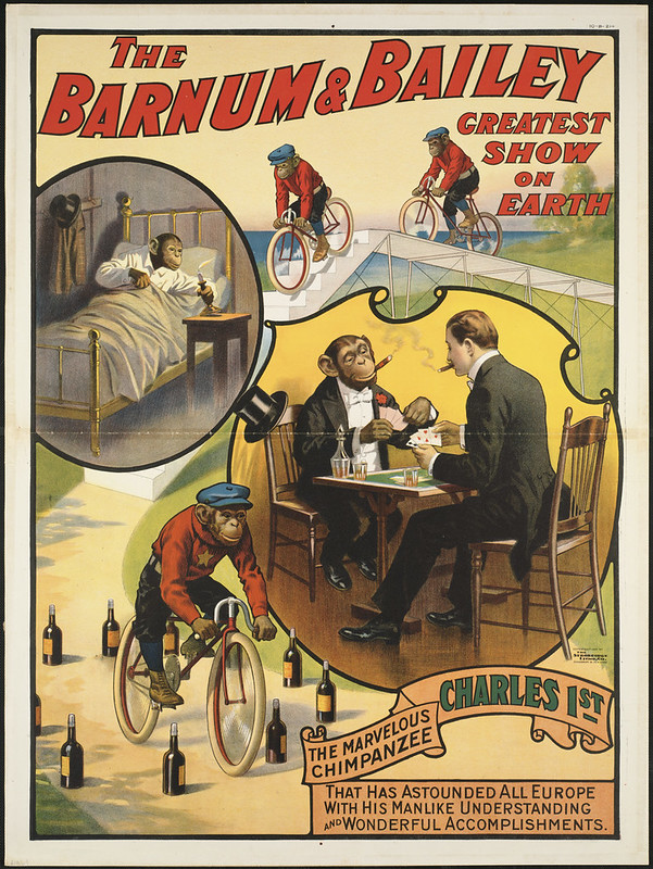 The Barnum & Bailey greatest show on earth: Charles 1st