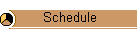Schedule