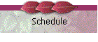 Schedule