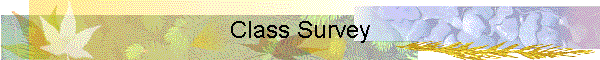 Class Survey