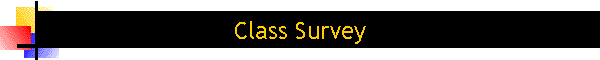 Class Survey