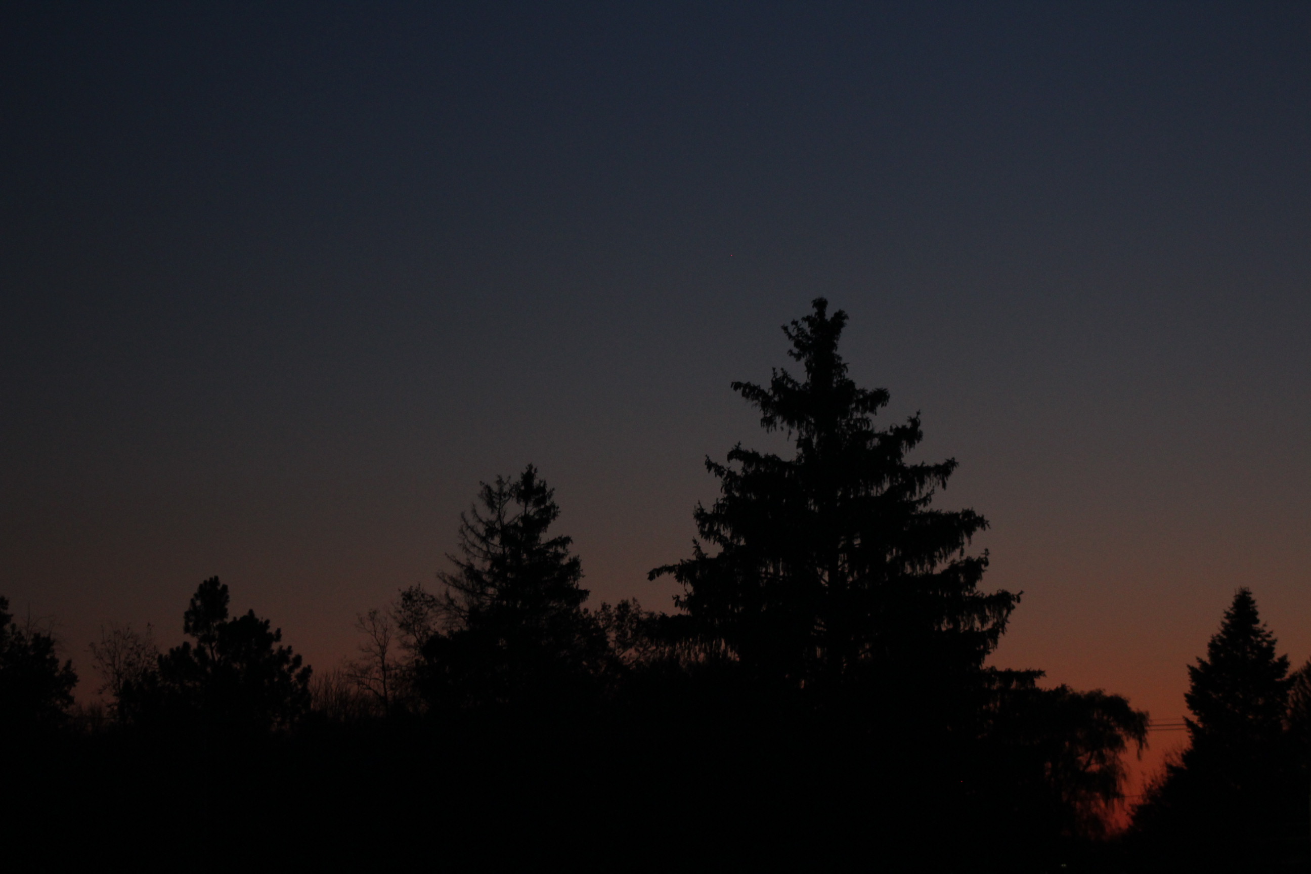 End of the sunset behind trees