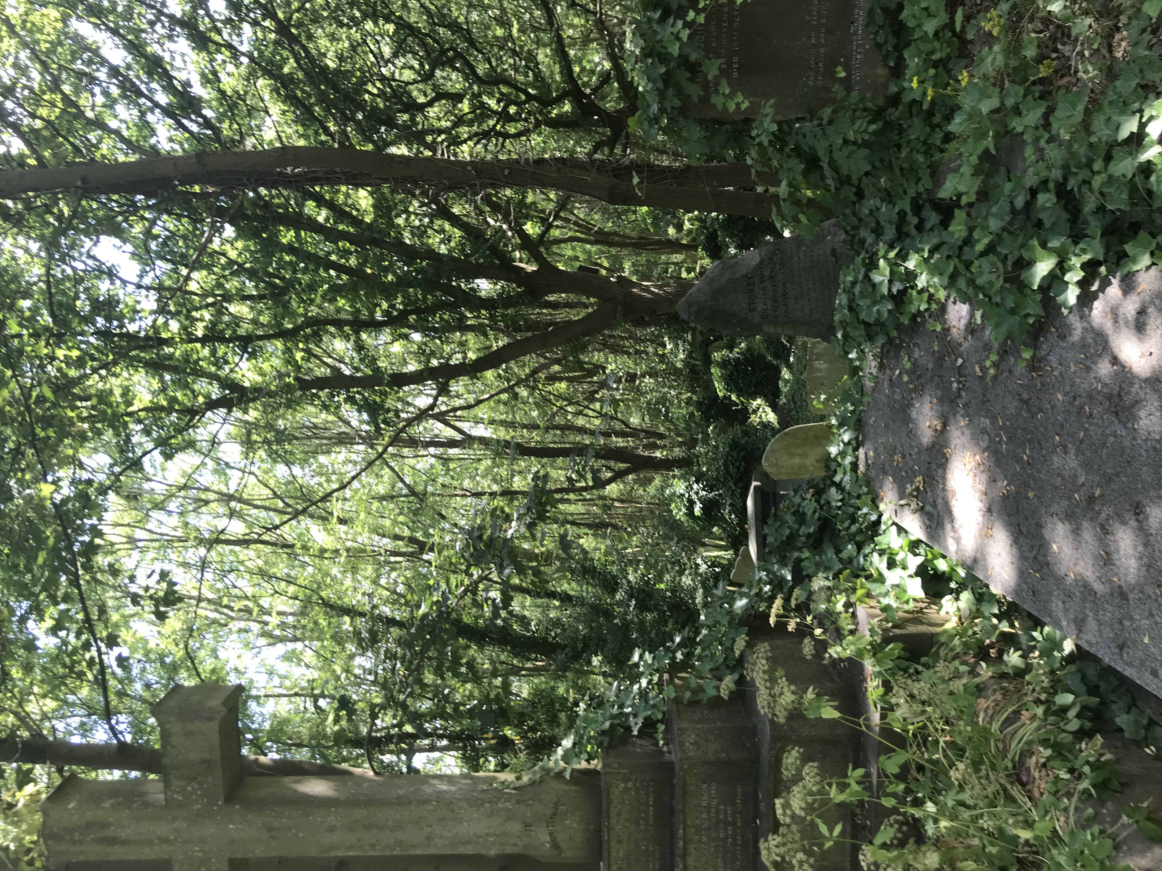 run down graves in woods in England