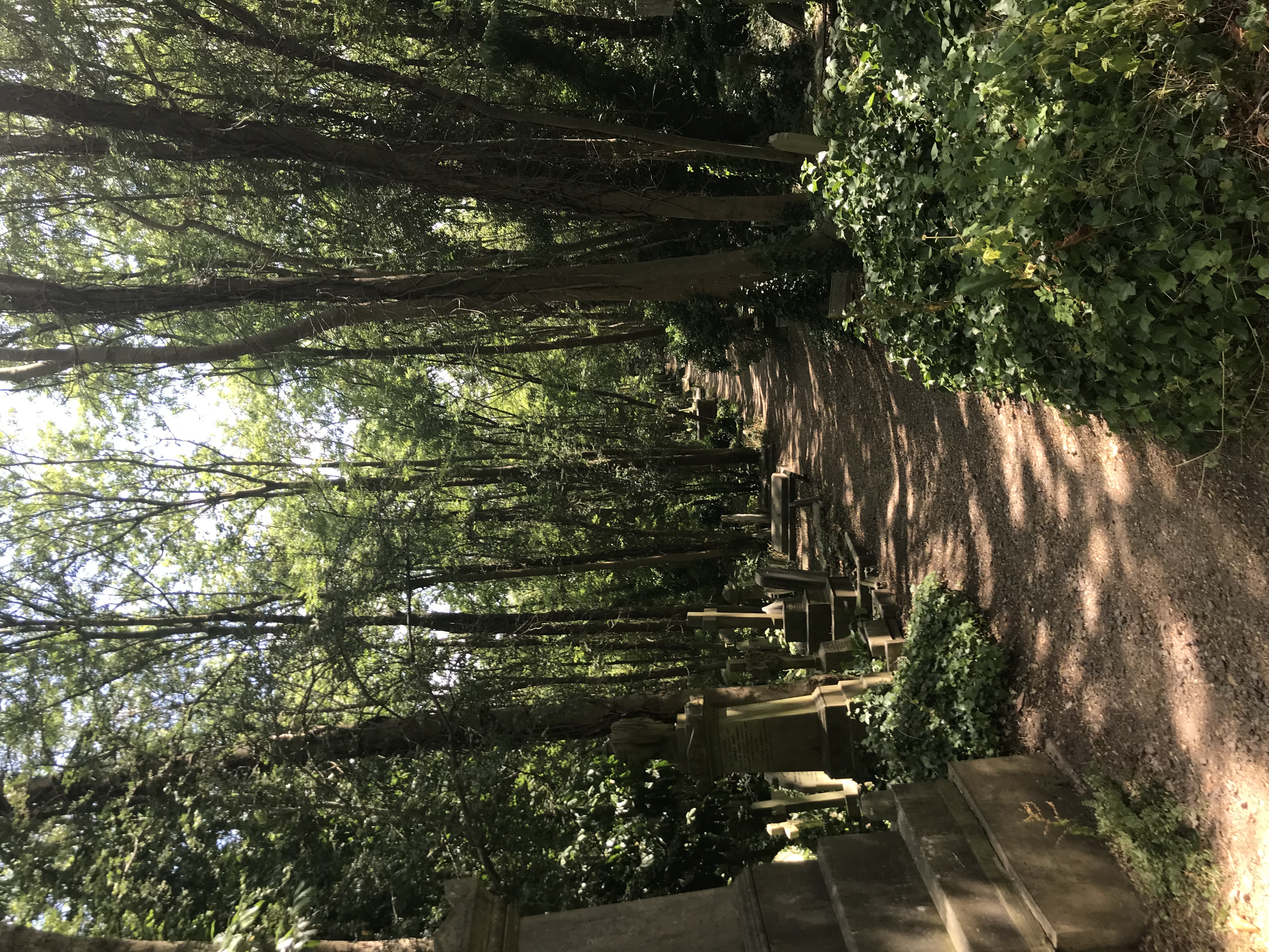 dirt path lined with graves in woods in England