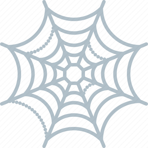 spiderweb
