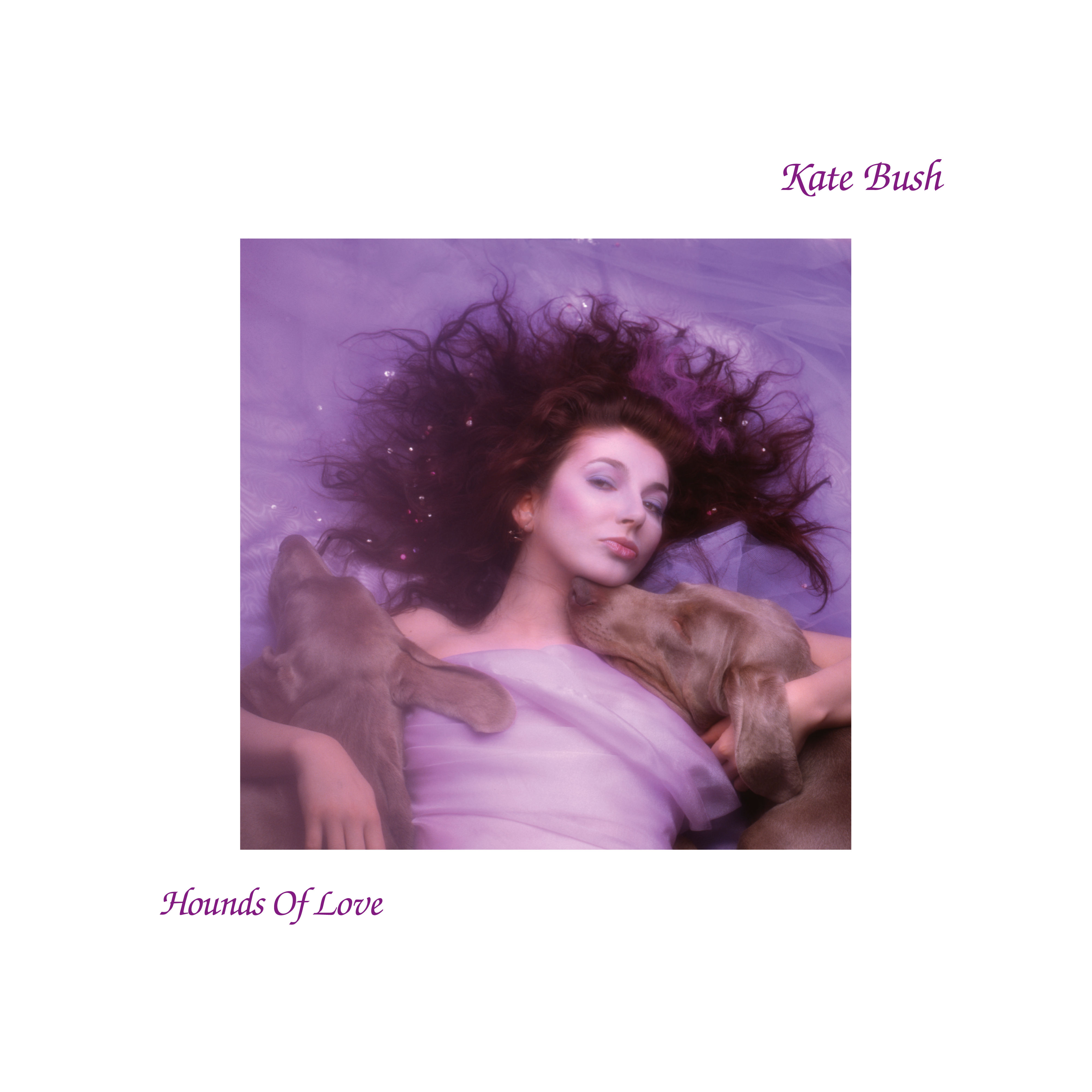 Kate Bush's 1985 album 'Hounds of Love'